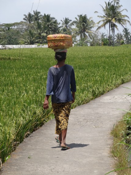 Taking the day's offerings to the temple