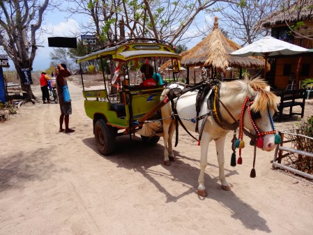 My taxi driver on Gili