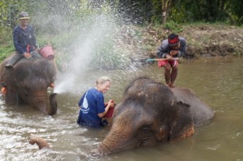 bathing with the elephants