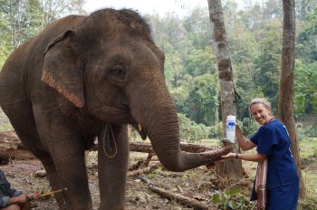 watering the elephant!